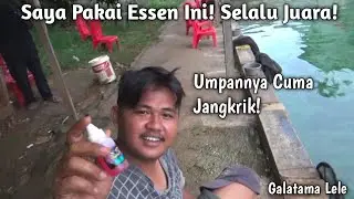 Pakai Essen Ini Saya Langsung Juara Mantap..!