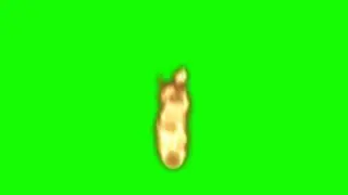 Fire Flame green screen effect chroma key video