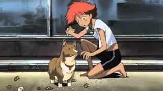 Red Hot Chili Peppers + Cowboy Bebop (Walkabout AMV)
