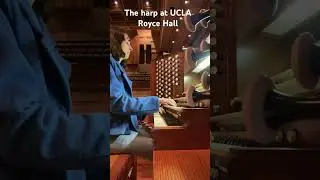 #organ #orchestra #harp #percussion #chimes #glock #orff #xylophone #vibrate #music #composer