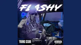 Flashy