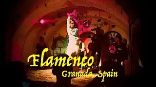 Flamenco en Venta el Gallo, Granada 2019