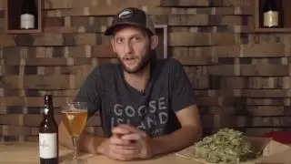 About Our Hops - Amarillo