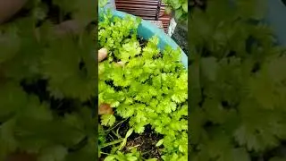 Tudo org&acirc;nico