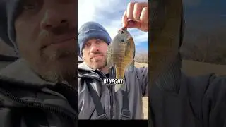 Winter fishing in Illinois 🎣 #fishing #fishinglife #fishingvideo #illinois #winterfishing