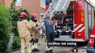Vogel vast onder windveer van het dak 25 07 21