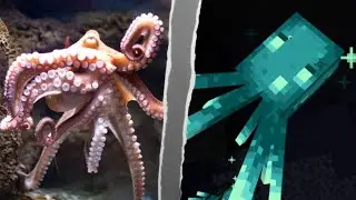 Животные в майнкрафт vs животные в реальной жизни | Minecraft
