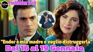 Forbiddenfruit Anticipazioni Dal 16 al 19 Gennaio:L'alleanza di Sahika e Yigit,/Ender mette in atto 