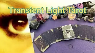 🦋Transient Light Tarot🌹#spiritualnoob #tarot #intuition #tarotcards #transientlighttarot