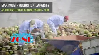 Amazing Food Processing Machines COCONUT & CHOCOLATE Factory ★ Fast Workers Food Machine Inventions