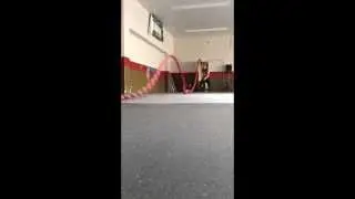 Onnit 50ft Alpha Battle Ropes (testing)