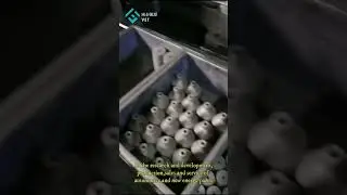 VET-custom graphite crucible supplier