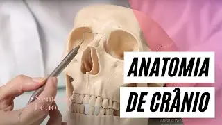 Revisão de Anatomia de Crânio  | Dra. Tuanny Lima