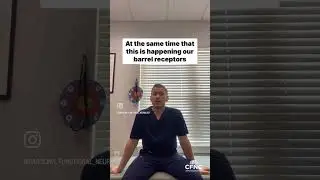 Neurology of Standing Up