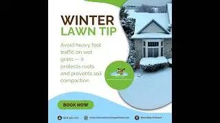 Winter Lawn Tip - Clean Air Lawn Care Portland Westside