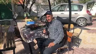 Meşe palamudunun faydaları