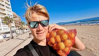 СЕЗОН МАНДАРИНОВ В ИСПАНИИ! Пляж и море в Оропеса-дель-Мар. Погода в ноябре.