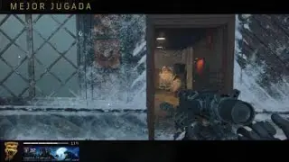 Bo4 locus2