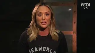 Why SeaWorld Sucks | Charlotte Crosby