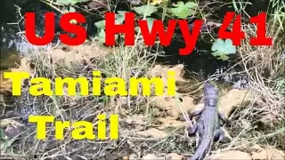 The Tamiami Trail, US hwy 41