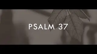 Miss Arkansas Ebony Mitchell | Psalm 37:1-7 | Psalm 37 Explained