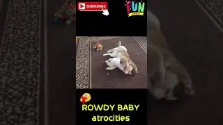 Cutest Baby's Cute Activity #35 | Funny Baby and Daddy moments | #shorts | Fun Only