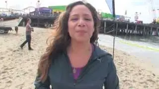Pier CleanUp Dive 2013
