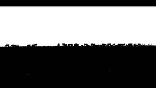 Vacas - Guillermo Lamolle