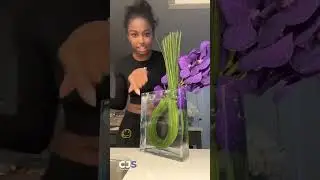 Coco Jones opening celebratory gifts for her Grammy win