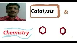 Mechanism of Homogeneous Catalysis