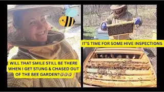 The Honeybees Were a Bit Spicy During Today's Hive Inspection!