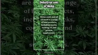 Industrial uses of Hemp  #hempcbd
