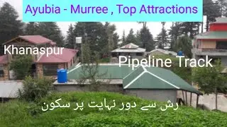 Khanaspur Ayubia // Best Place For Family Tours// Beauty of Galiyat 