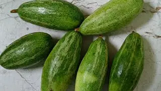 Chal potal #homemadefood #easyrecipe #viralrecipe #yummyrecipe 