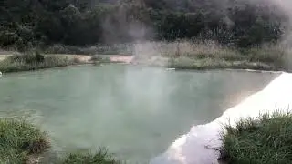 Copland Track, West Coast, New Zealand, March 2024
