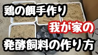 【鶏の餌手作り】我が家の発酵飼料作り方。