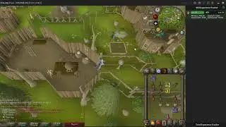 OSRS buddy tricking while lagging