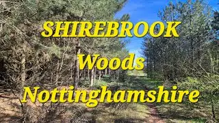 Shirebrook Woods,Mansfield, Nottinghamshire -Some Drone Footage.