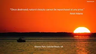 The Benefits of Saving Green Space and The Costs of Destroying It &ndash; Saving Eleanor Park