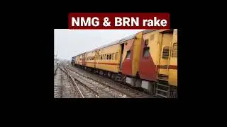 NMG &BRN rake