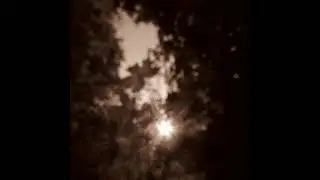 Intonazioni Serafiche - Ombra di lauri #ambientrock #artrock #instrumental #guitar #experimental