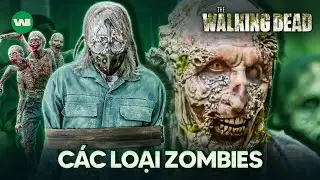 DECODING ALL ZOMBIES VARIATIONS IN THE WALKING DEAD