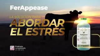 Abordar el Estr&eacute;s del Ganado con FerAppease mBAS