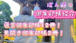 【初投稿】私の御朱印帳紹介！①可愛いのからかっこいいのまで😎