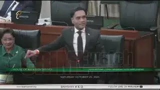 В парламенте царит хаос: оппозиция отклонила финансовый законопроект на 2026 год. Депутаты оппози...
