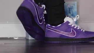 I PICKED UP WHAT?!?! NIKE x CNCPTS SPECIAL BOX Purple Lobster SB Dunk review + On Foot