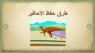 الحياة في الماضي - الأحافير