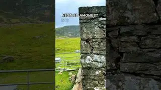 Shelter from society?! #wales #mountains #bothy #shelter #camp #hope #weather #wilderness #wild