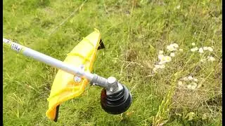 Brush Cutter 31CC 260MM CG117