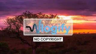 DIZARO - Safari (Vlogify - No Copyright Music for Vlogs/ Edits)